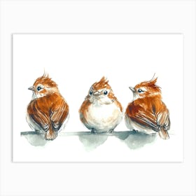 Three Birds On A Branch Art Print