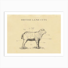 British Lamb Butcher Cuts Chart Art Print