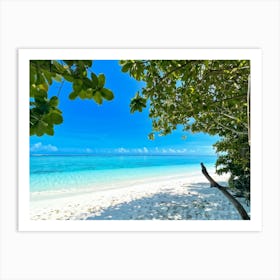 Relax Ocean Plant Idylli Holiday Coastline Beautiful Calm Shore Blue Paradise Sunlight N (14) Art Print