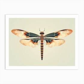 Dragonfly Common Baskettail Epitheca 4 Art Print