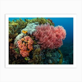 Coral Reef 1 Art Print