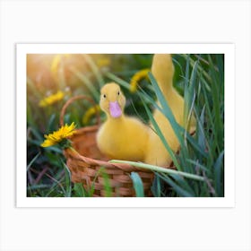 Ducklings In A Basket 1 Art Print