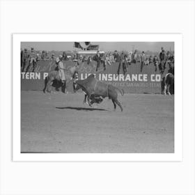 Rodeo Performer Riding Brahma Bull At The Rodeo Of The San Angelo Fat Stock Show, San Angelo, Texas By Russell Lee 1 Art Print