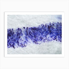 Dripping Blue Ink On Paper Under The Microscope Art Print