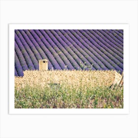 Typical Provence Art Print