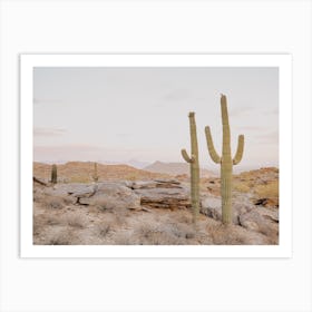 Two Towering Saguaros Art Print