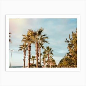 Palm Trees On The Beach 1 Art Print