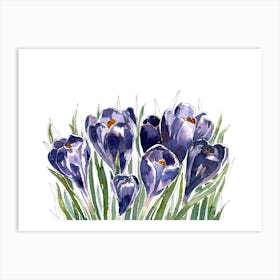 Crocus Watercolor Painting Art Print