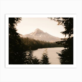 Mt. Hood Summer Forest Dreams Art Print