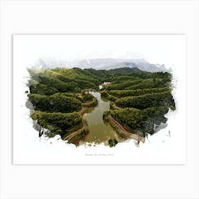 Bamboo Sea, Guizhou, China Art Print