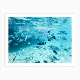Underwater Tropical Fishes Art Print