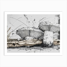 Two Mushrooms On A Log Art Print