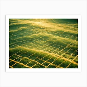 Protective Yellow Plastic Mesh Covering Fresh Green Grass With Bright Sun Shining Down Art Print