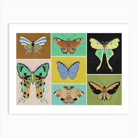 Butterflies Art Print