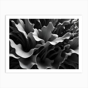 Abstract, Monochrome Composition Of Organic, Floral Like Shapes In Shades Of Gray, Creating A Sense Of Depth And Texture Art Print