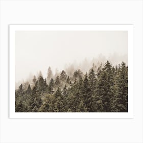 Minimal Pine Forest Art Print