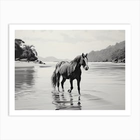 A Horse Oil Painting In Lopes Mendes Beach, Brazil, Landscape 4 Art Print