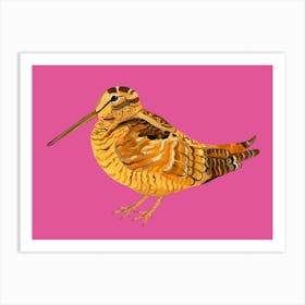 Wonderful Woodcock Pink  Art Print