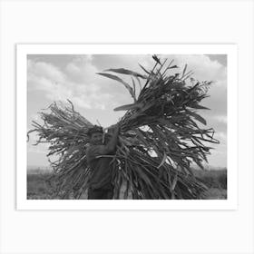 Mormon Farmer Carrying Cane To Crusher, Ivins, Washington County, Utah By Russell Lee Art Print