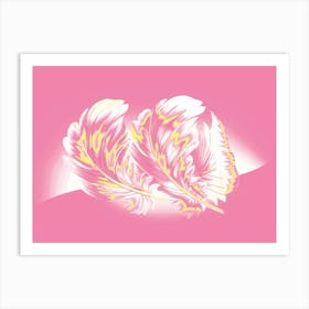 Feathers On A Pink Background Art Print