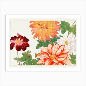 Dahlias 2 Art Print