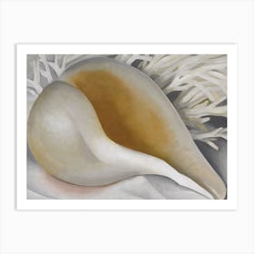 Georgia O'Keeffe - Shell, 1937 Art Print