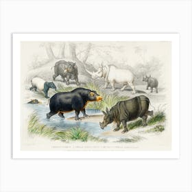 Hippopotamus, Indian Rhinoceros, Muchoco, White Rhinoceros, Two Horned African Rhinoceros, And Malay Tapir, Oliver Goldsmith Art Print