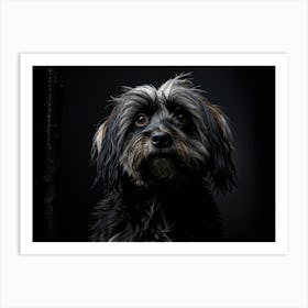 Old Black Lhasa Apsa Dog Showcased In Hyper Realistic Photography Drifting Into The Realm Of Melanc (1) Art Print