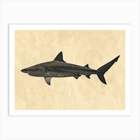 Angel Shark Silhouette 4 Art Print