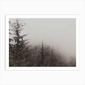 Rustic Foggy Forest Art Print