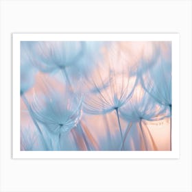 Dandelion 20 Art Print