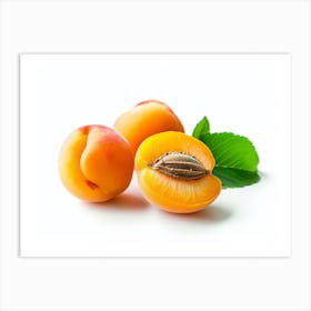 Apricots 3 Art Print