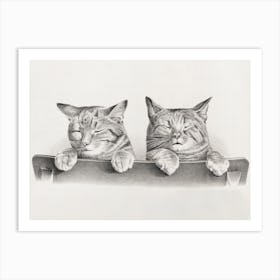 Sleepy Cats Vintage Art Print