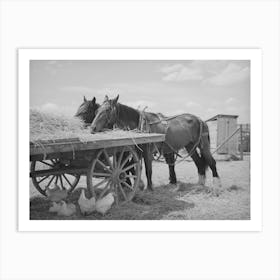 Field Horses At Noon, Malheur County, Oregon By Russell Lee Art Print