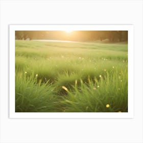 Close Up Shot Of Green Grass With Dewdrops, With The Sun Shining In The Background, Creating A Warm, Inviting Atmosphere Art Print