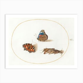 Small Tortoiseshell And Red Admiral Butterflies With A Mole Cricket (1575 1580), Joris Hoefnagel Art Print