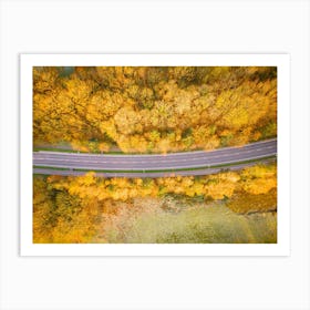 Aerial View Of A Road In Autumn Art Print