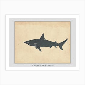 Whitetip Reef Shark Shark Silhouette 1 Poster Art Print