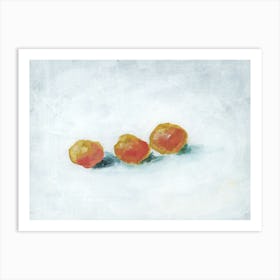 Three Apricots Painting Still Life Impressionism Food Kitchen Art Orange White Hand Painted Dining Fruit Art Print