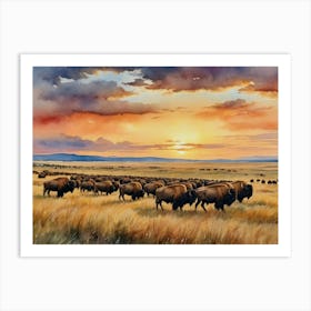 Herd Of Bison At Sunset Art Print