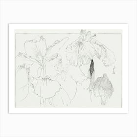 Japanese Iris Illustration From Bijutsu Sekai (1893 1896), Watanabe Seitei Art Print