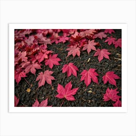 Autumn Leaves 10 Art Print