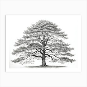 maple tree pencil sketch ultra detailed 3 Art Print