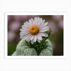 Daisy In Mitten Art Print