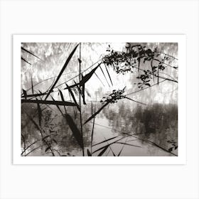 Artful Riverbank Scenery in Enfield Town Park B&W Art Print