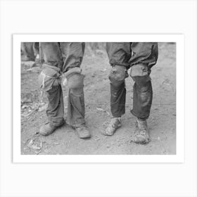 Cotton Pickers With Knee Pads, Lehi, Arkansas By Russell Lee Art Print