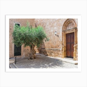 Olive Tree In A Spain Courtyard Art Print