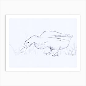 Duck Eating Grass drawing minimal sketch pencil graphite white paper bird farm kitchen living room hand drawn Art Print