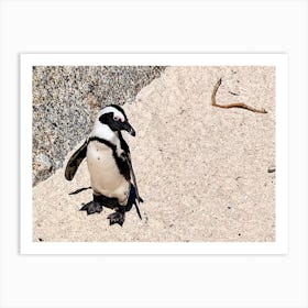 Penguin On The Beach (Africa Series) Art Print