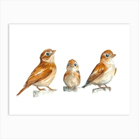 Three Birds Art Print